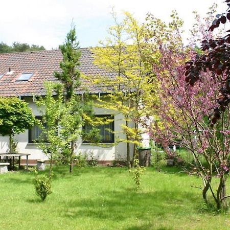 Pension Haus Zum Schlehenberg بايروث المظهر الخارجي الصورة