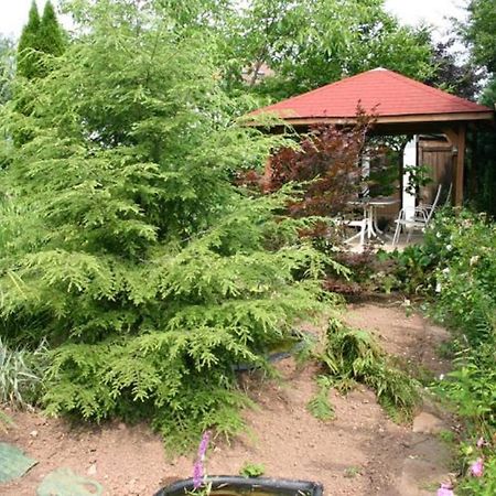 Pension Haus Zum Schlehenberg بايروث المظهر الخارجي الصورة